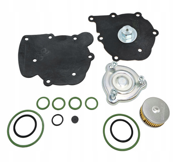 KOMPLET NAPRAWCZY REDUKTORA Z FILTREM TOMASETTO NORDIC AT09 AVS