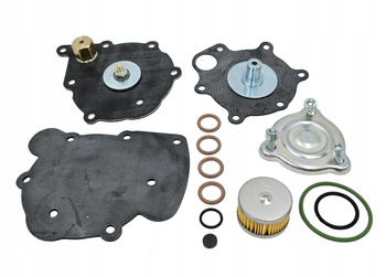 KOMPLET NAPRAWCZY REDUKTORA Z FILTREM TOMASETTO NORDIC XP AT09