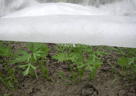 Agrowłóknina biała zimowa okryciowa 3,2x5m 50g UV