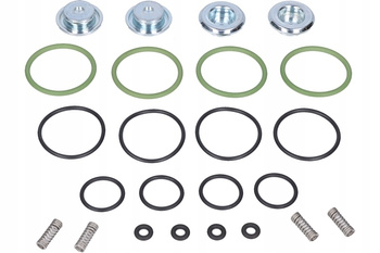 KOMPLET NAPRAWCZY LISTWY WTRYSKOWEJ AEB I-PLUS 4 cyl.