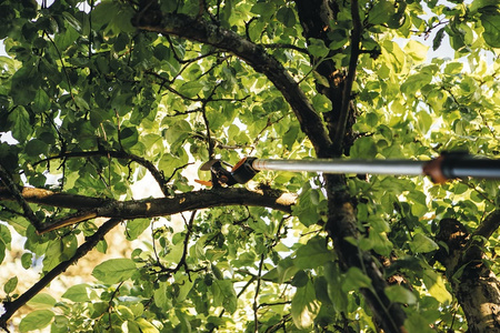 Sekator uniwersalny żyrafa UPX82 1023625 Fiskars