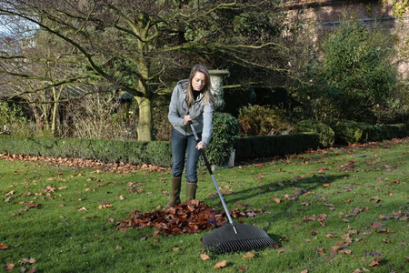 Grabie do liści duże alu trzonek 1000660 Fiskars